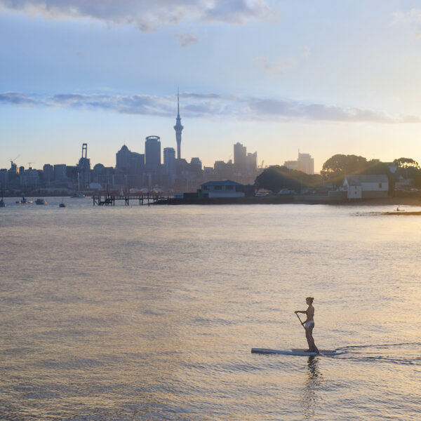 Paddle Boarding with Auckland in the distance. Auckland City, Auckland, New Zealand, Matt Crawford