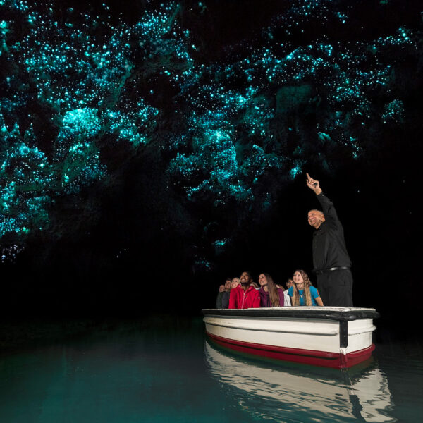 Waitomo Glowworm Caves, Intro Travel, New Zealand Adventure Tour