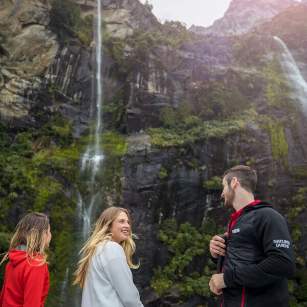 Guided nature cruise. Milford-Sound-Nature-Cruise-up-close-with-a-waterfall-screen