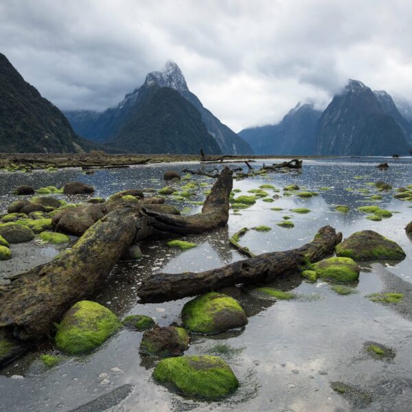 Milford Sound - Southland, New Zealand - Credit Richard Young. Real Kiwi Adventures image, small group tours South Island New Zealand.
