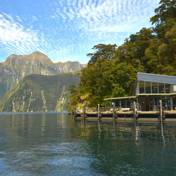 Milford Sound Underwater-Observatory-in-Harrison-Cove-with-mountain backdrop screen